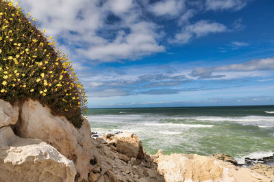 sea
