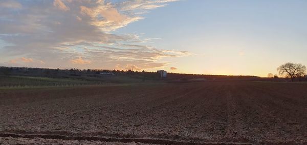 Scenic view of agricultural field against sky during sunset