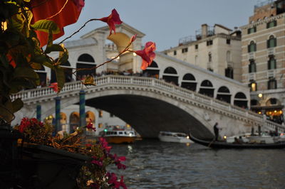 Bridge over river with buildings in background