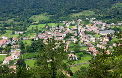 High angle view of trees and houses in village