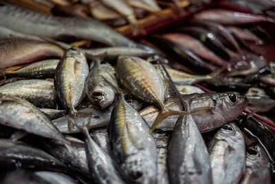 Full frame shot of fish for sale in market