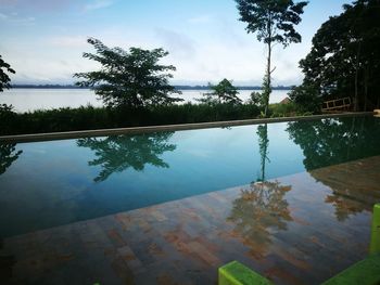 Reflection of trees in swimming pool against sky