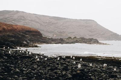 Scenic view of sea against clear sky