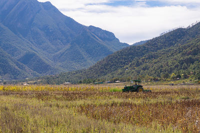 Scenic view of field against sky