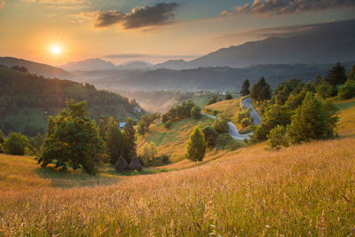 Scenic view of field against sky during sunset