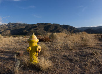 Yellow fire hydrant on field