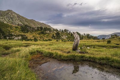 Scenic view of landscape against sky