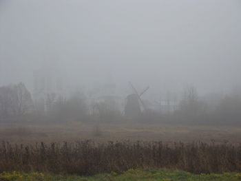 Trees on field against sky during foggy weather