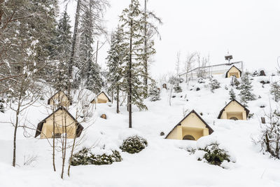 Snow magic. walk in the ancient village of sappada. friuli