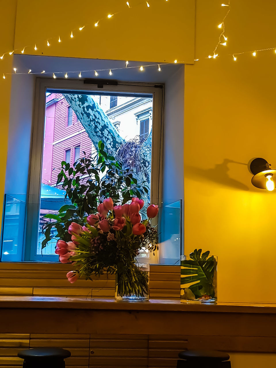 POTTED PLANTS ON WINDOW SILL