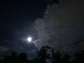 Low angle view of silhouette trees against sky at night