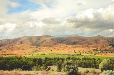 Scenic view of field against sky