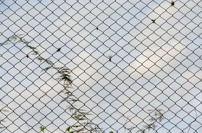 Low angle view of chainlink fence against sky