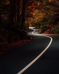 Road passing through forest