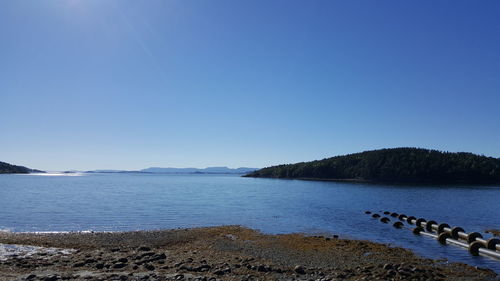 Scenic view of sea against clear blue sky