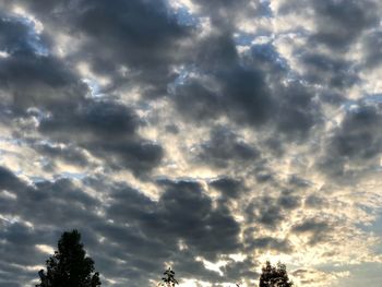 Low angle view of trees against cloudy sky