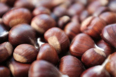 Close-up of chestnuts in market for sale