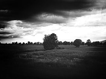 Scenic view of grassy field against cloudy sky