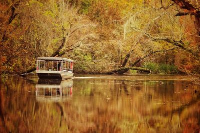 Scenic view of lake in forest