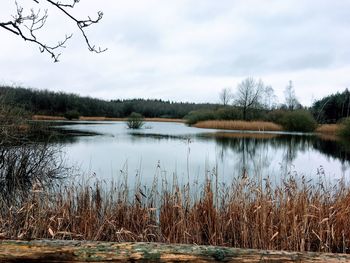 Scenic view of lake against sky