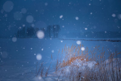 A dark winter scenery with white snow bokeh. snowing in northern europe.