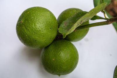 Close-up of fresh green fruits against white background