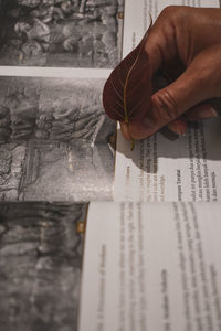 Midsection of person reading book on paper