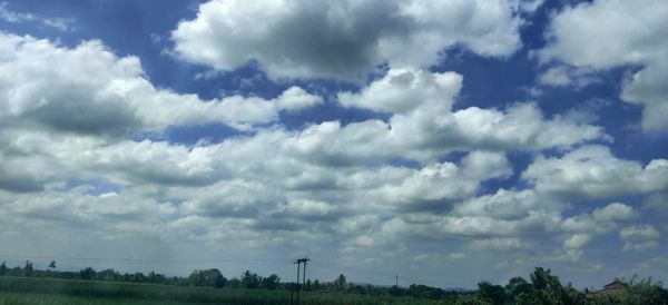 Low angle view of trees against sky