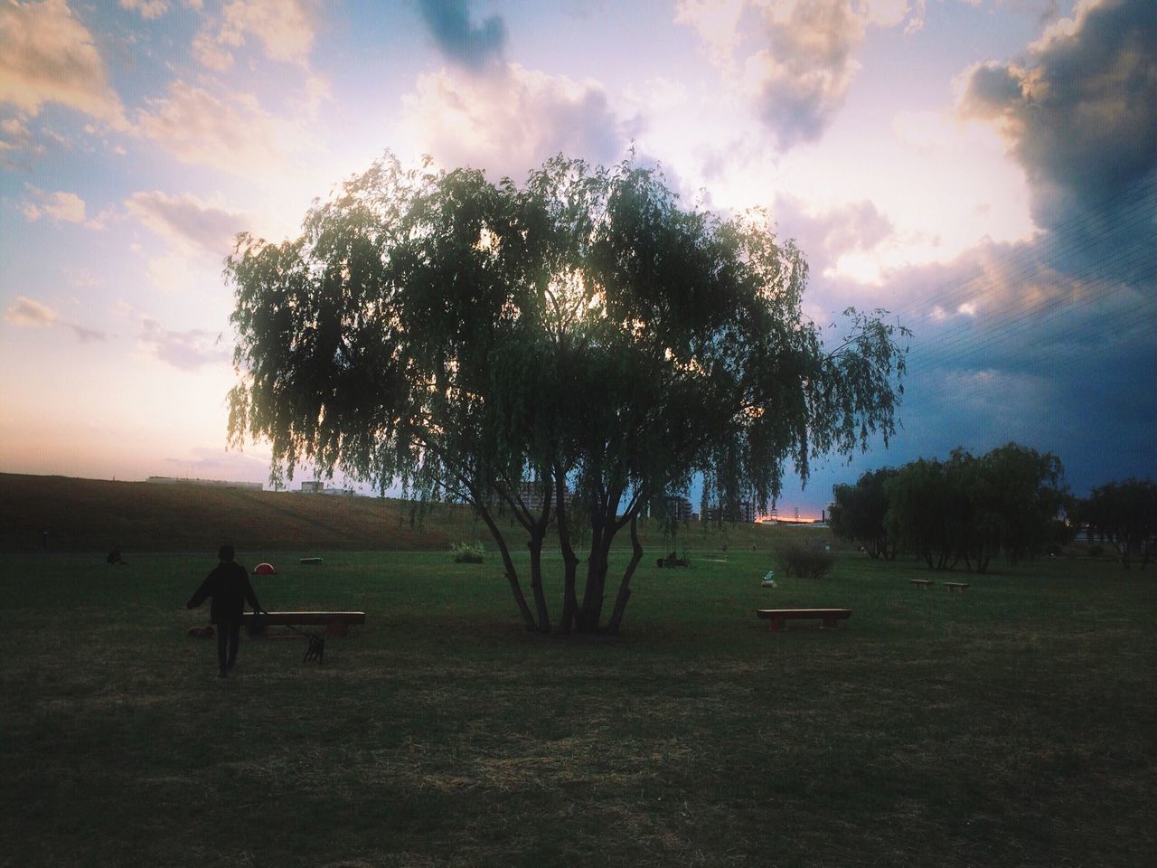 sky, tree, cloud - sky, silhouette, landscape, cloud, field, cloudy, tranquility, grass, tranquil scene, men, nature, beauty in nature, scenics, lifestyles, leisure activity, sunset