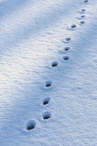 High angle view of footprints in snow