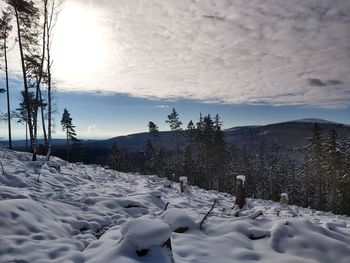 Snow covered land and trees against sky