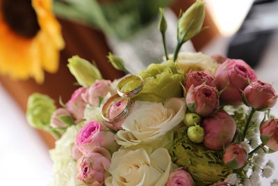 Close-up of pink roses