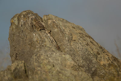 Low angle view of rock formation against sky