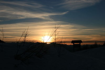 Silhouette plants on snow covered land against sky during sunset