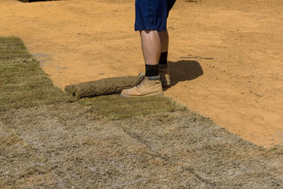 Low section of man walking on field