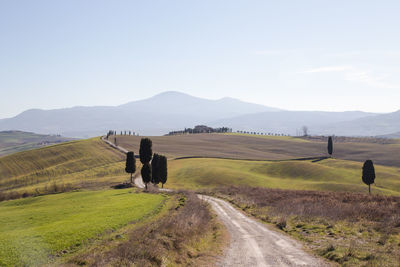 Scenic view of road amidst field against sky