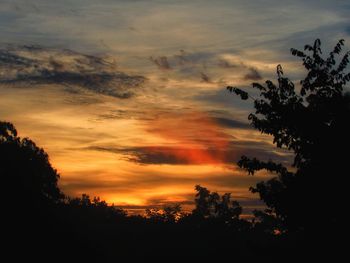 Silhouette trees against sky during sunset