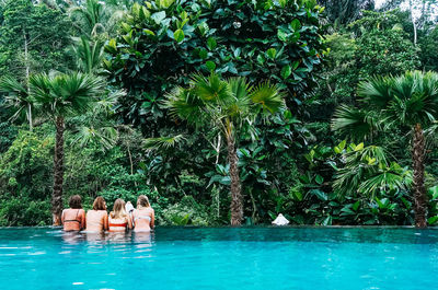 People relaxing in swimming pool against trees