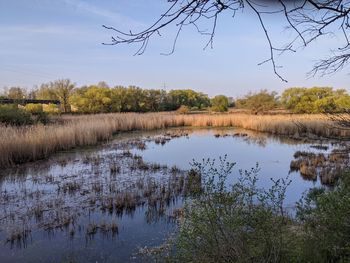 Scenic view of lake against sky