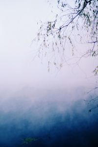 Reflection of tree in lake against sky