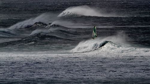 Man windsurfing on sea