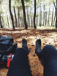 Low section of man and bare trees in forest