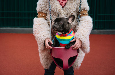 Portrait of woman holding small french bulldog dog in swing