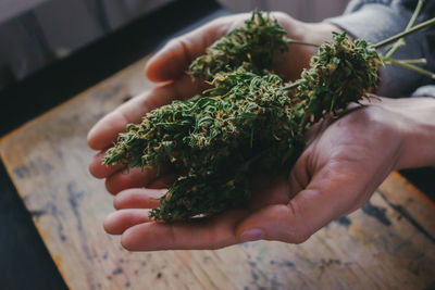 High angle view of person hand on table