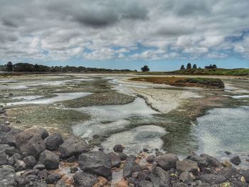 Scenic view of landscape against sky