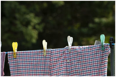 Clothes drying on clothesline