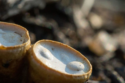Close-up of metallic object