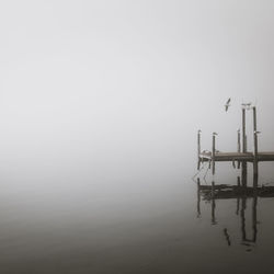 Scenic view of foggy weather against sky