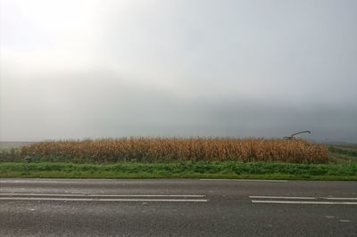 Road by agricultural field against sky