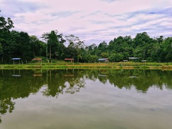 Scenic view of lake by trees against sky